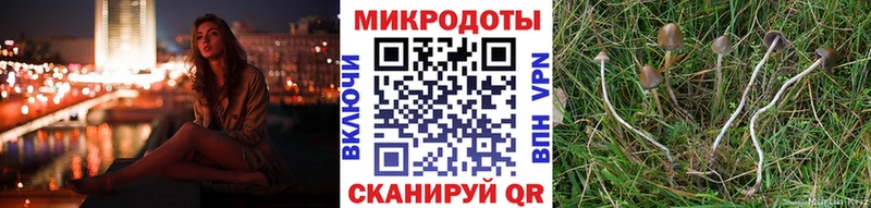 купить наркотики сайты  Солнечногорск  Псилоцибиновые грибы MAGIC MUSHROOMS 
