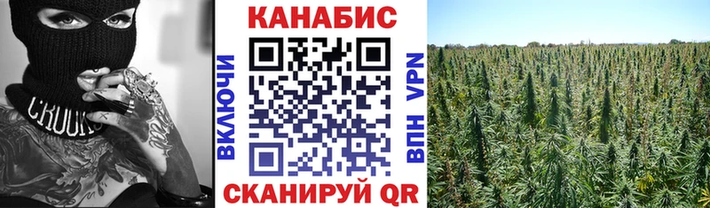 Шишки марихуана гибрид  Солнечногорск 